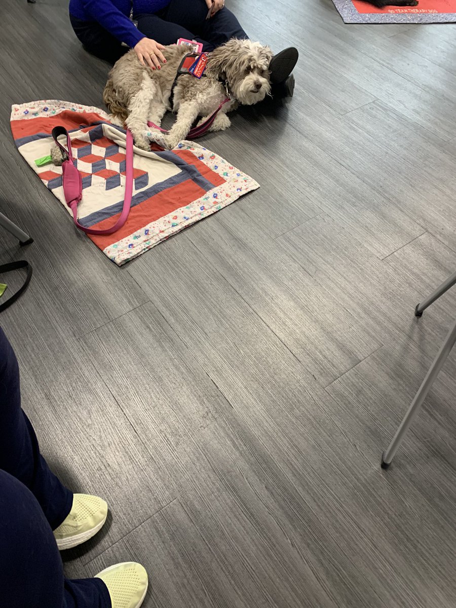 Therapy dogs visited our work today! It is the little things in life! #thatmakemehappy 🐶