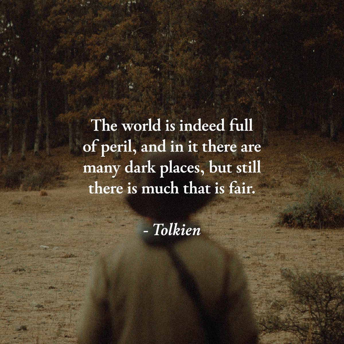 TolkienWonder's tweet photo. Drop your favorite QUOTES from Tolkien! I'm posting daily photos and would love to include your top ones... https://t.co/sQDLhDq1lL
