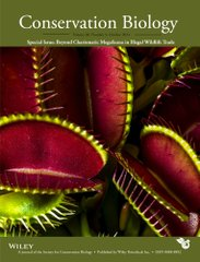UN Biodiversity (@unbiodiversity) on Twitter photo #openaccess paper: “A Call to Include Fungi in Wildlife Trade Research and Policy”, written by <a href="/Giulifungi/">Giuliana Furci</a> & Marios Levi from the <a href="/fungifoundation/">Fungi Foundation</a>, together with first author Rodrigo Oyanedel from <a href="/mileniosecos/">Instituto Milenio SECOS</a>.
conbio.onlinelibrary.wiley.com/doi/10.1111/co…
via <a href="/fungifoundation/">Fungi Foundation</a> #openaccess paper: “A Call to Include Fungi in Wildlife Trade Research and Policy”, written by <a href="/Giulifungi/">Giuliana Furci</a> & Marios Levi from the <a href="/fungifoundation/">Fungi Foundation</a>, together with first author Rodrigo Oyanedel from <a href="/mileniosecos/">Instituto Milenio SECOS</a>.
conbio.onlinelibrary.wiley.com/doi/10.1111/co…
via <a href="/fungifoundation/">Fungi Foundation</a>