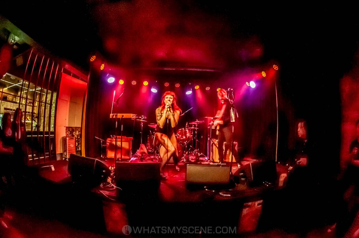 What's My Scene tweet media