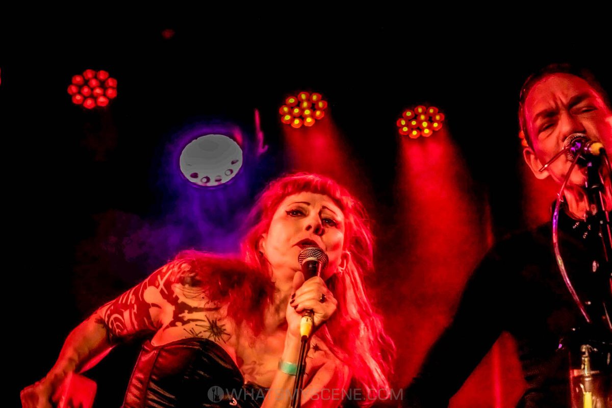 What's My Scene tweet media