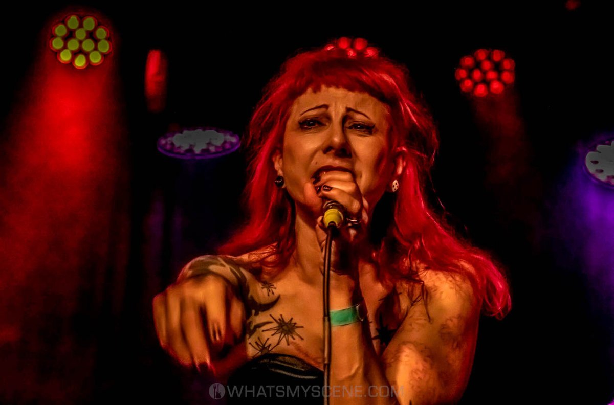 What's My Scene tweet media