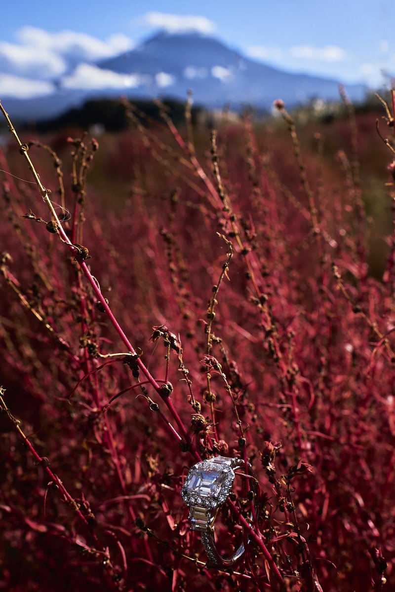 Nathanry tweet media