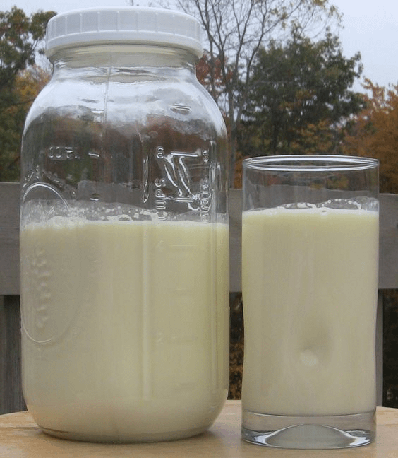 regenranching's tweet photo. Guys, we got RFK in the White House.

Now it's time to legalize raw milk.

We should have the freedom to choose the foods we believe are best for our health.

Everyone RT this to let RFK know we want raw milk legal. https://t.co/czHP8KoJ5Q