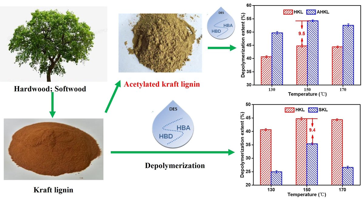 BioResources tweet media