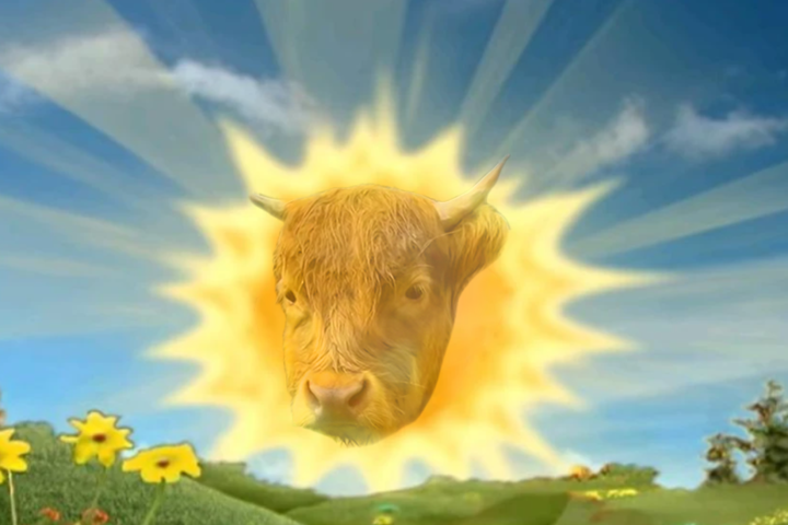 DumpyBullSOL tweet media