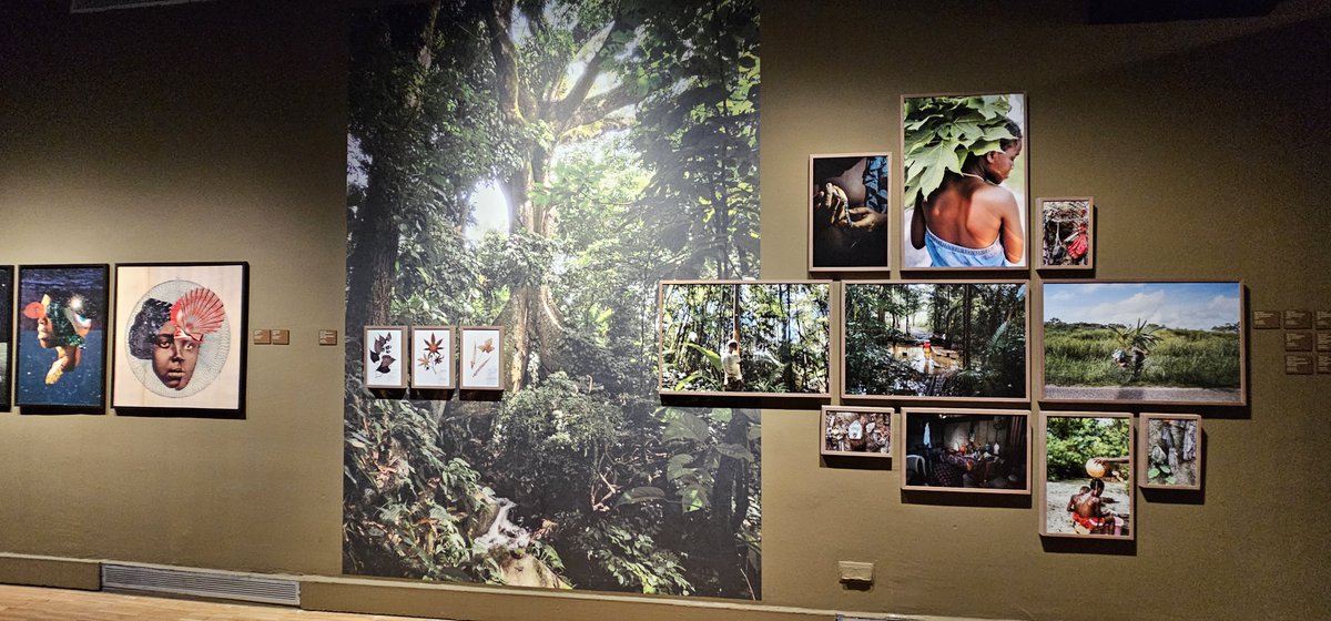 Amazons, The Ancestral Future, the new exhibition at @cececebe. A journey through the nature, the sounds, smells, cities, rituals, people &amp; stories of Amazonian communities with great audiovisuals.
#museums #audiovisuals #AmazonsCCCB
