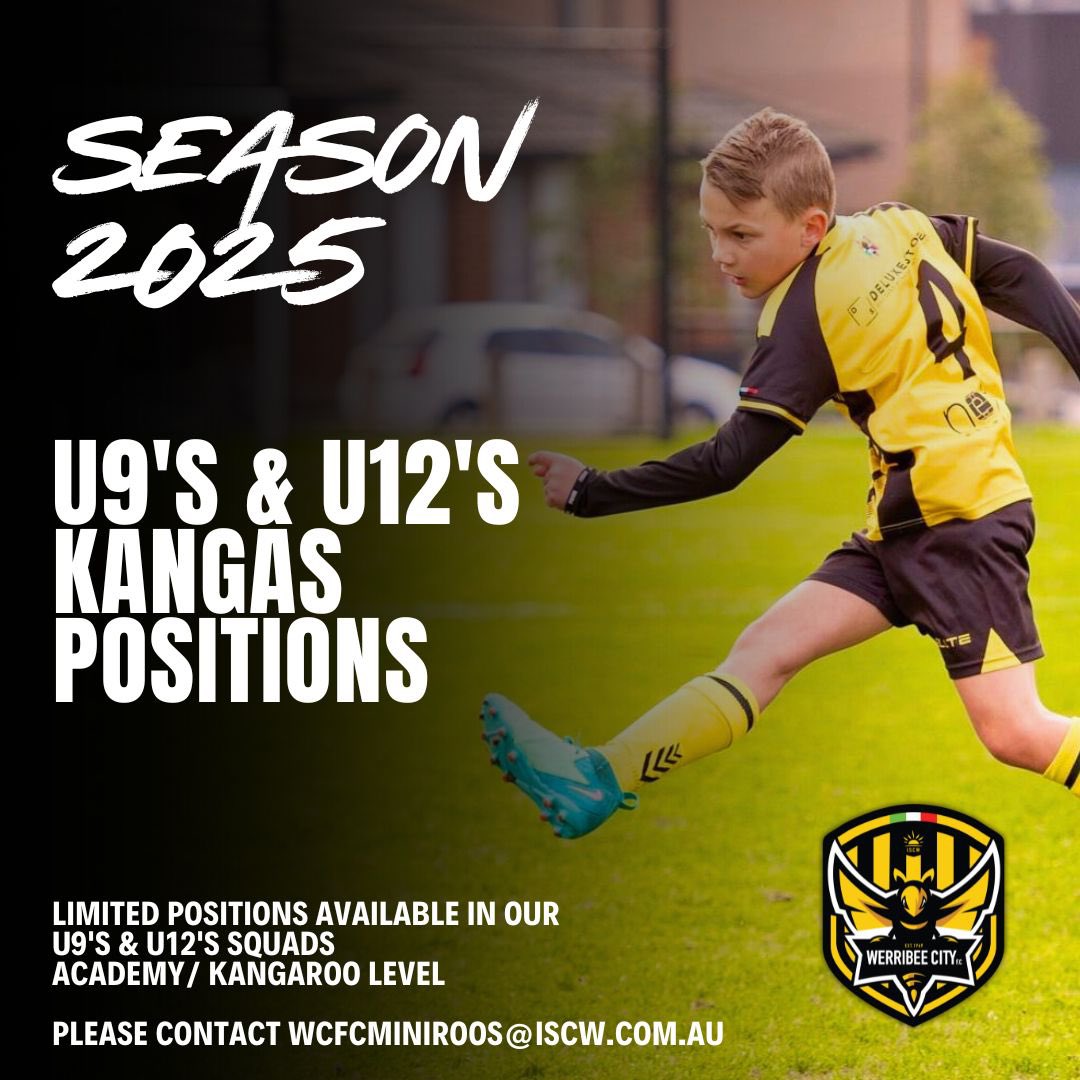 Werribee City FC (@fcwerribeecity) on Twitter photo LIMITED SPOTS AVAILABLE 🐝
We have a few spots left in our U9 and U12 Kangas/Academy Teams.
If you have experience and are interested in applying, please submit your EOIs via wcfcminiroos@iscw.com.au
#GoBees LIMITED SPOTS AVAILABLE 🐝
We have a few spots left in our U9 and U12 Kangas/Academy Teams.
If you have experience and are interested in applying, please submit your EOIs via wcfcminiroos@iscw.com.au
#GoBees