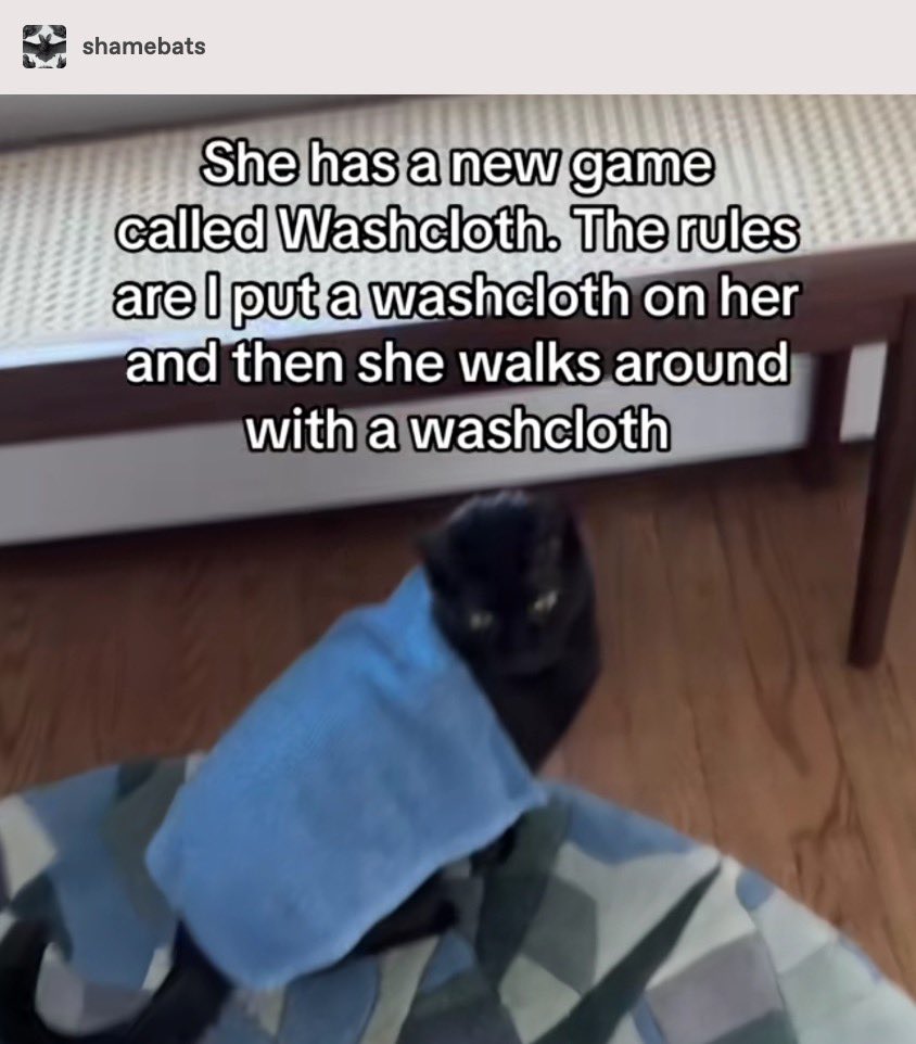 weirdlilguys's tweet image. she plays to win