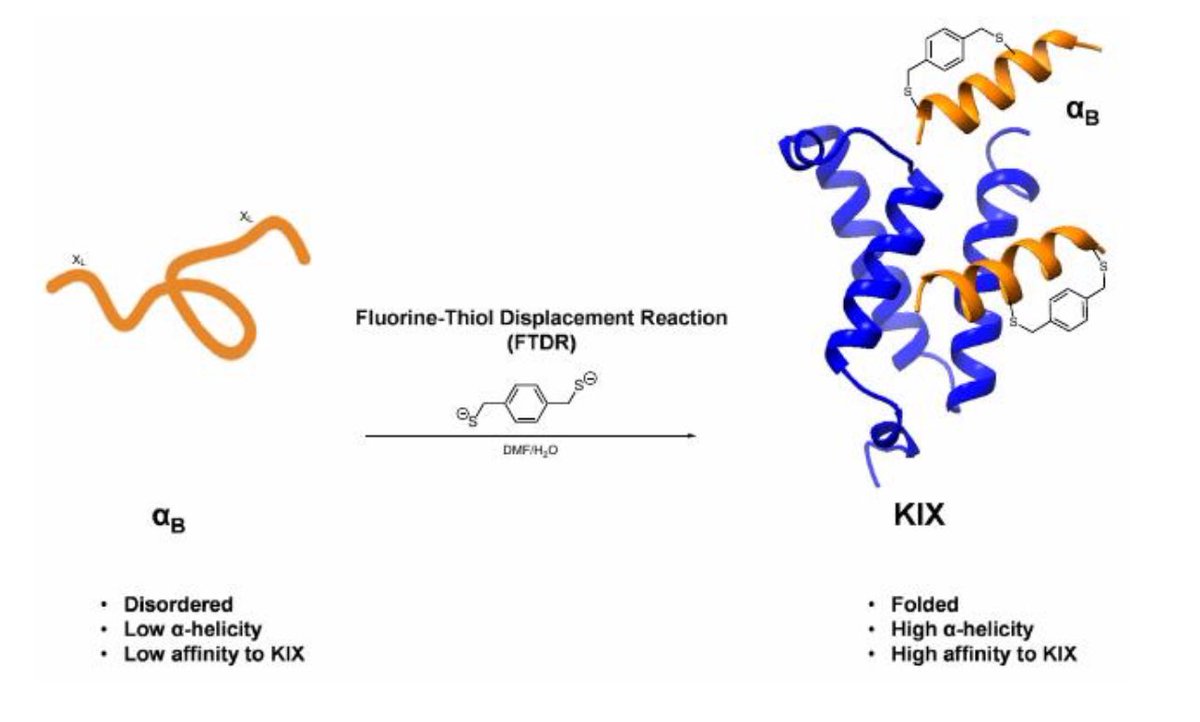 Ross Wang Lab (@rongsheng_wang) on Twitter photo Check out our recent article on āFluorine-Thiol Displacement Stapling on the Disordered pKID domainā¦ā published in <a href="/synlett_journal/">SYNLETT Journal</a>. Thank you, Prof. Raj <a href="/MonikaRaj_lab/">Monika Raj</a> for handling this special edition #peptide#protein <a href="/thiemechemistry/">Chemistry at Thieme</a> <a href="/TUChemBot/">Temple Chemistry</a>
Link - thieme-connect.com/products/ejour⦠Check out our recent article on āFluorine-Thiol Displacement Stapling on the Disordered pKID domainā¦ā published in <a href="/synlett_journal/">SYNLETT Journal</a>. Thank you, Prof. Raj <a href="/MonikaRaj_lab/">Monika Raj</a> for handling this special edition #peptide#protein <a href="/thiemechemistry/">Chemistry at Thieme</a> <a href="/TUChemBot/">Temple Chemistry</a>
Link - thieme-connect.com/products/ejourā¦