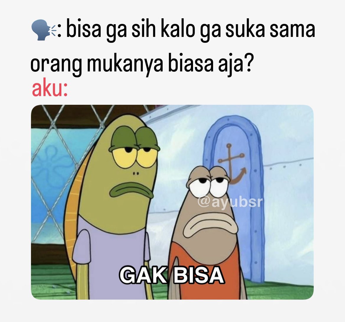 ayubsr's tweet image. 