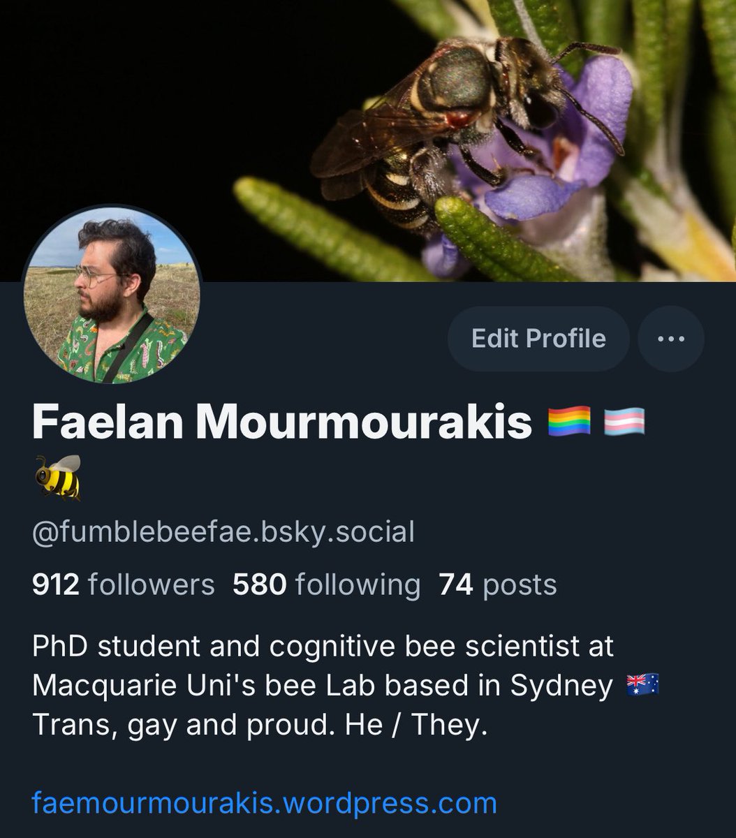 fumblebeefae.bsky.social tweet media