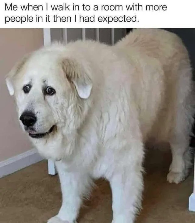 NoNonsenseND's tweet image. 