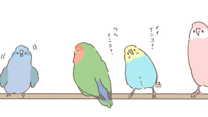 おはようございます☀️
今日は #いいインコの日 ですね🦜
いつもかわいい姿をありがとう😌
#マメルリハインコ #コザクラインコ #セキセイインコ #アキクサインコ 