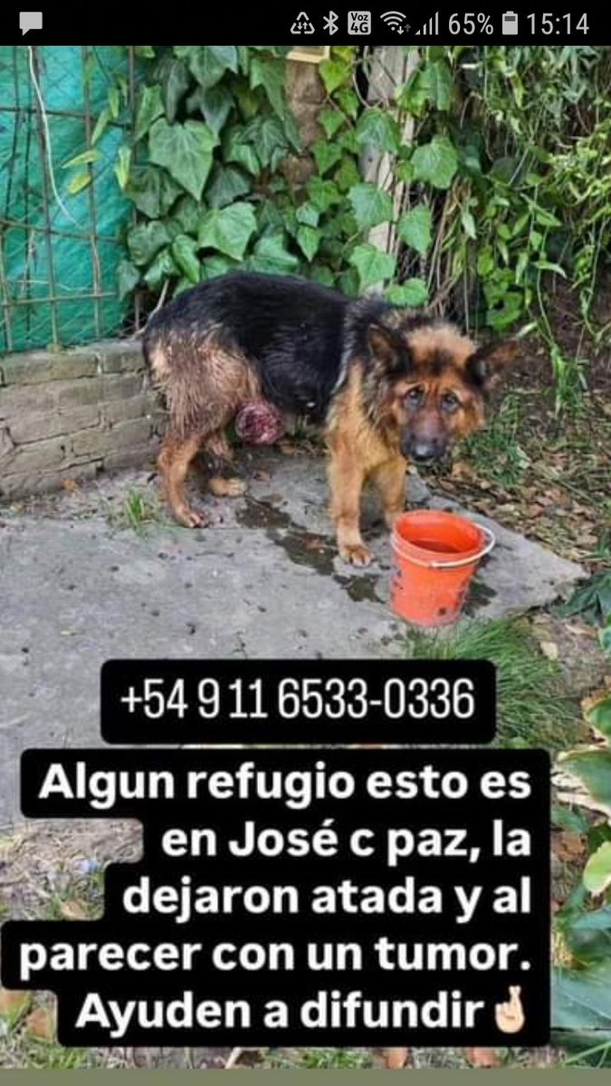 Rt
Urgente