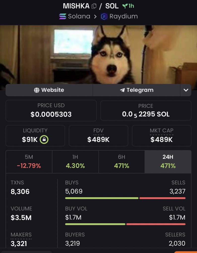 mrconquerorcall's tweet image. i hear #bert dev

FULL SENT $MISHKA

Next #pnut maybee lfgo