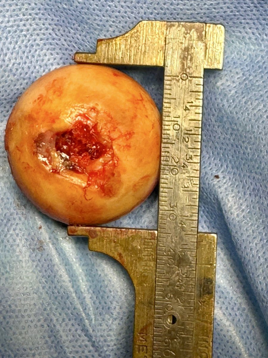 Hugo Rodríguez, MD tweet media