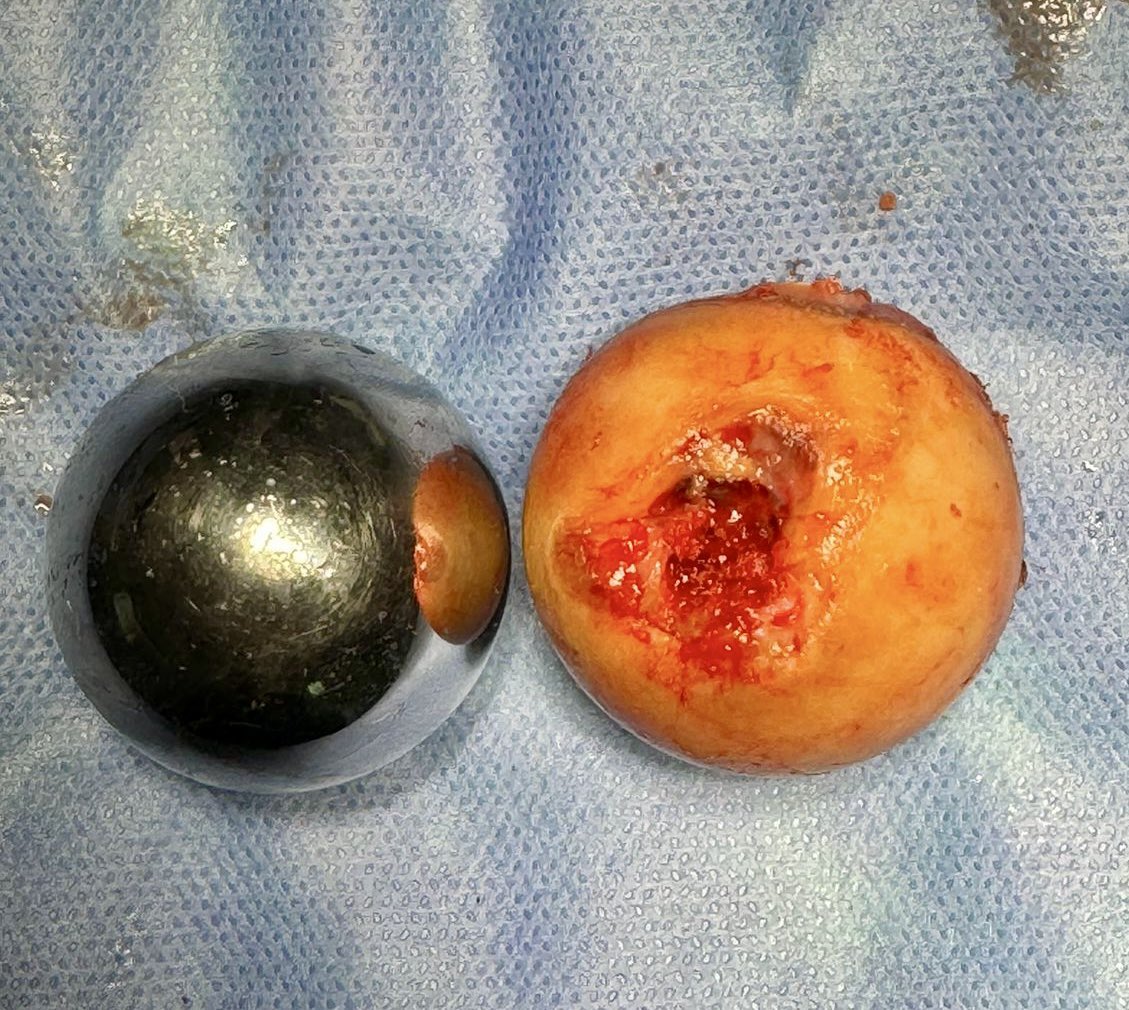 Hugo Rodríguez, MD tweet media