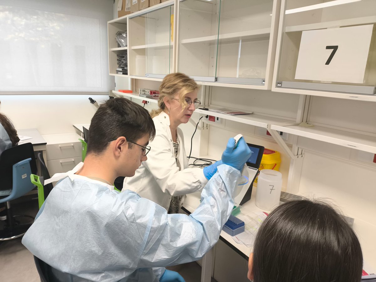 Mayte Pérez Olmeda tweet media