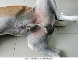 Jon Banting tweet media