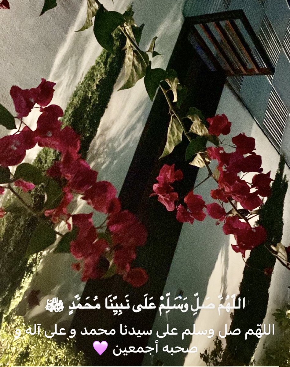 HALBTWT's tweet photo. https://t.co/O9xv3ANrf6