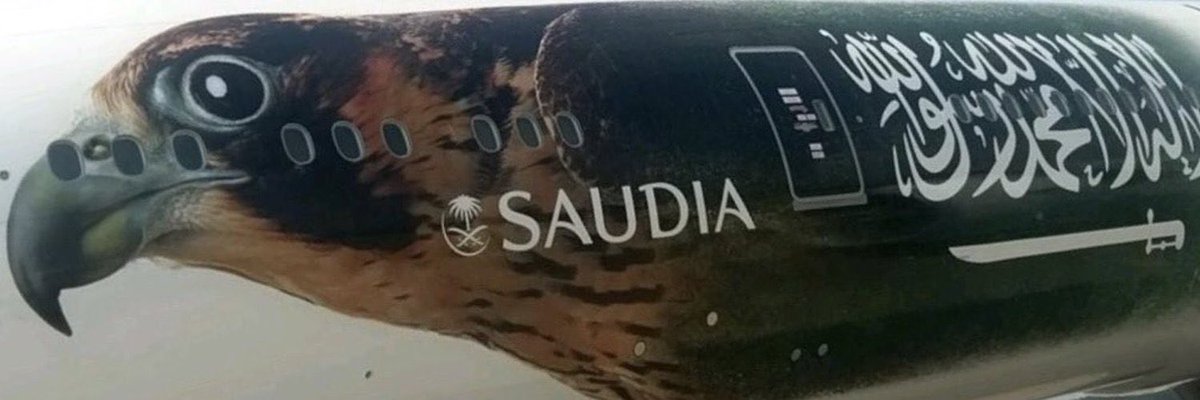 SA_MT2017's tweet photo. قريباً 🔜⏳
#الخطوط السعودية تطير بخط سير مباشر لمدينة #انطاليا التركية https://t.co/StNLLykvIW