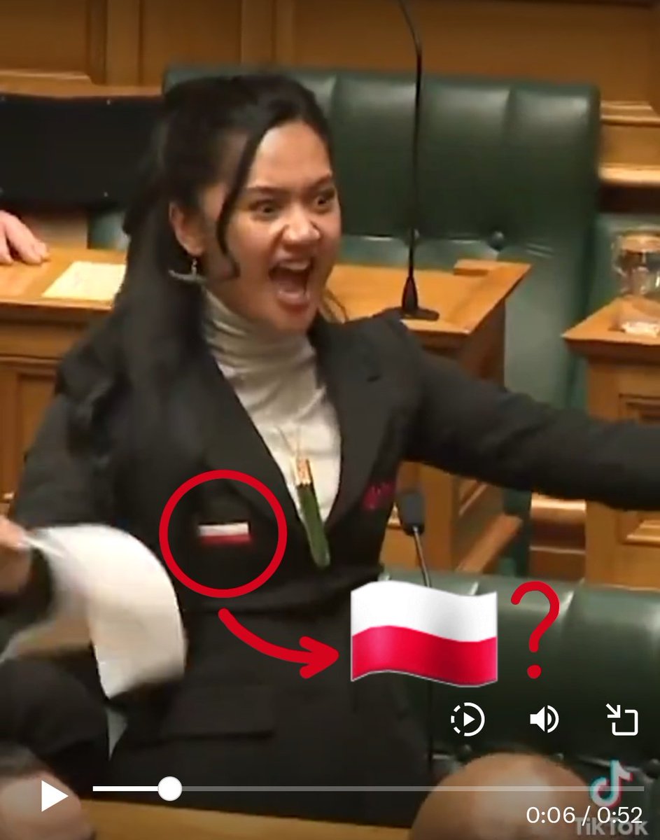 гой гоміньданський кошерний tweet media