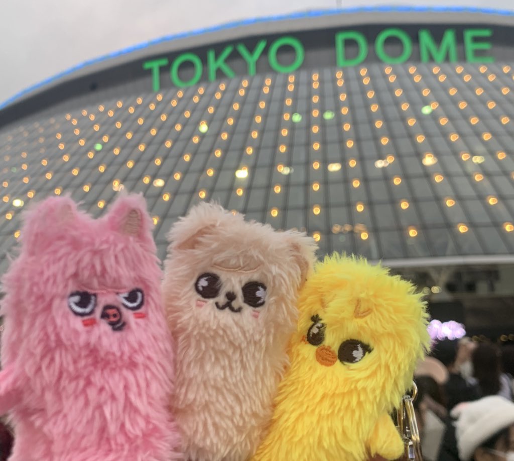 yeoru_AtZ00's tweet photo. めーっちゃ楽しかった〜😭😭
1メーターオモロすぎた😂 https://t.co/IYY30whbdd