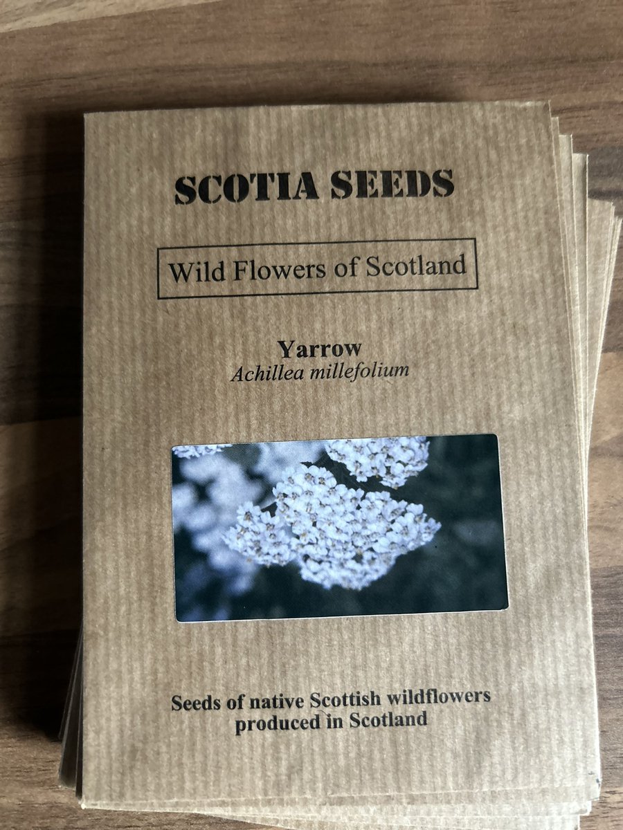 Friends of Hartwood Paupers Cemetery tweet media