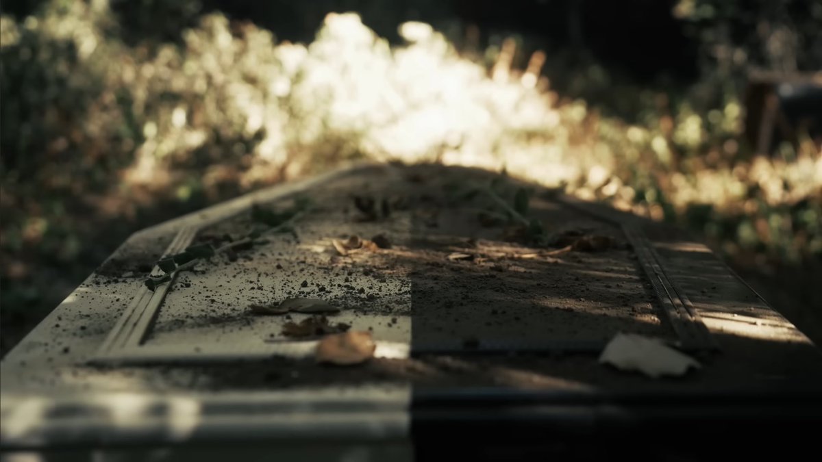 goodnight to unus and annus. hope you are resting well