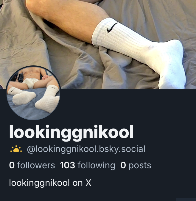 lookinggnikool on bluesky tweet media