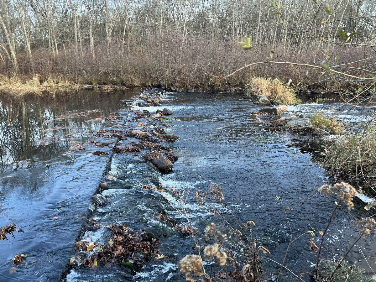 H2O_Soni's tweet image. Thanks to @NOAA restoration scientist Jim Turek for giving us a tour &amp;amp; primer on dams, fish passage  &amp;amp; dam removals. #Thursday #fieldfun pictures from my class. We visited Shannock hill, horseshoe dam &amp;amp; Kenyon Mill dam sites.
@universityofri @uricels @URI_GEO #PradhanangLab