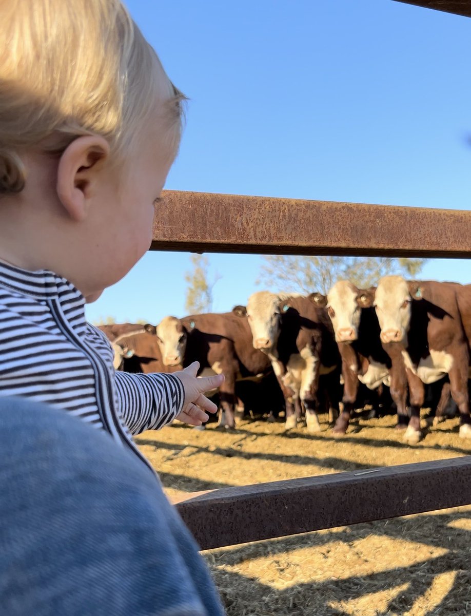 Happy  #AgDayAU 
From our crew to yours. 

A farm is more than land, livestock and crops 
It’s family’s heritage and future 

Helping to feed Australia 🇦🇺 and the world 🌎 

<a href="/NTCattlemen/">NTCA</a> 
<a href="/NationalFarmers/">National Farmers' Federation</a>