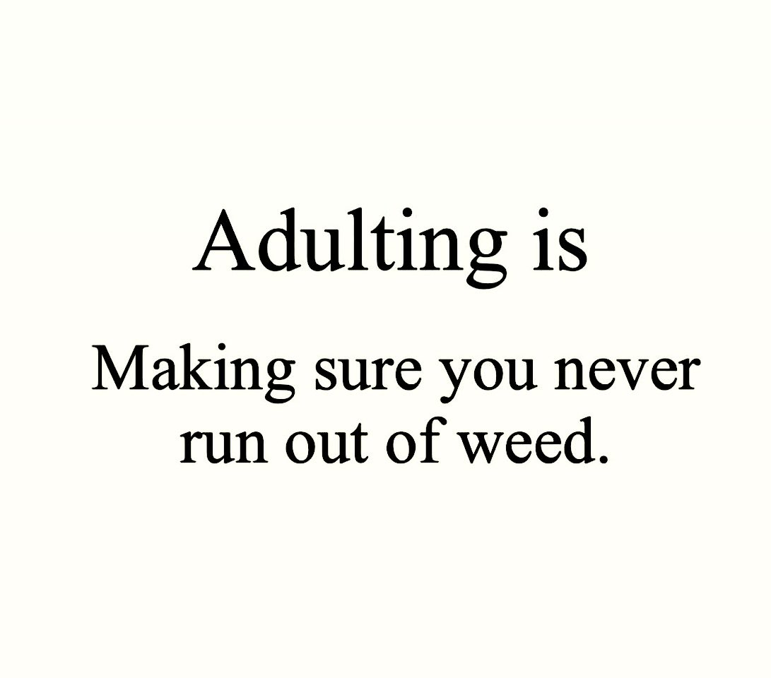💯