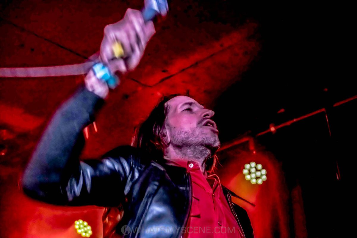 What's My Scene tweet media