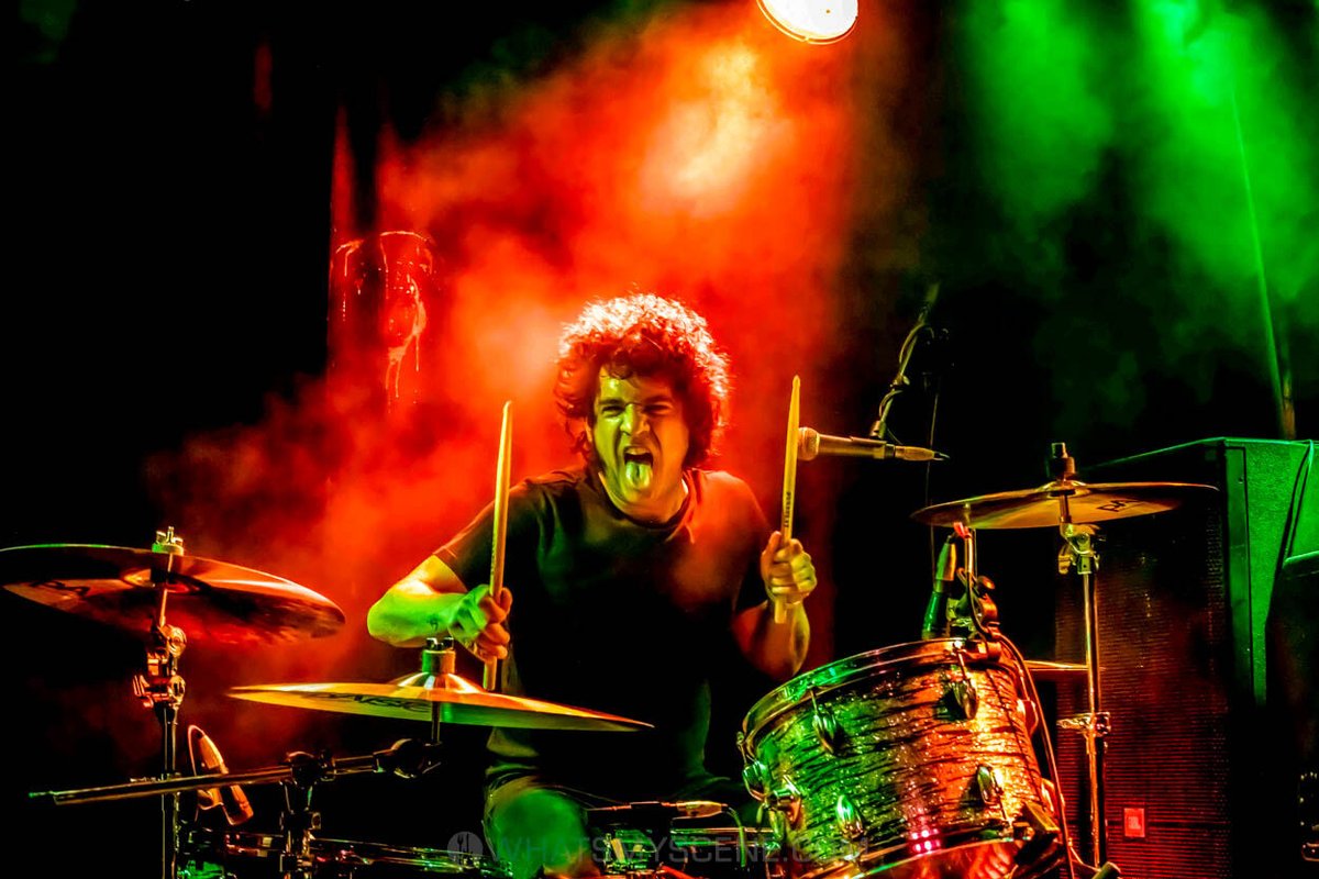 What's My Scene tweet media