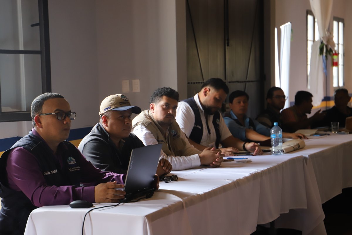 FAO Guatemala tweet media