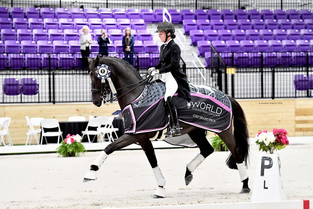 ✨ Career high scores set the tone on day one at World Equestrian Center - Ocala November Dressage CDI3* Show presented by Hampton Green Farm. 

Catch all the highlights from the first day at bit.ly/4eBU2OZ.