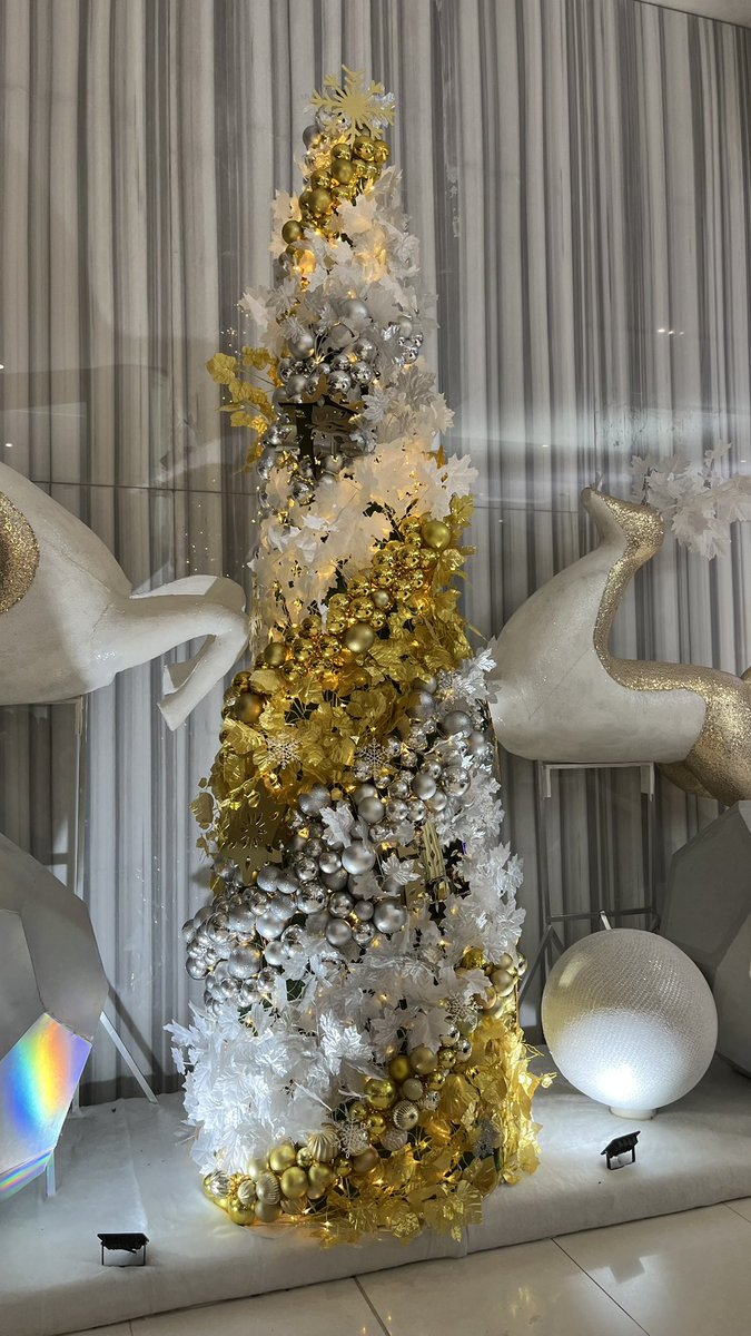 프란세스 tweet media