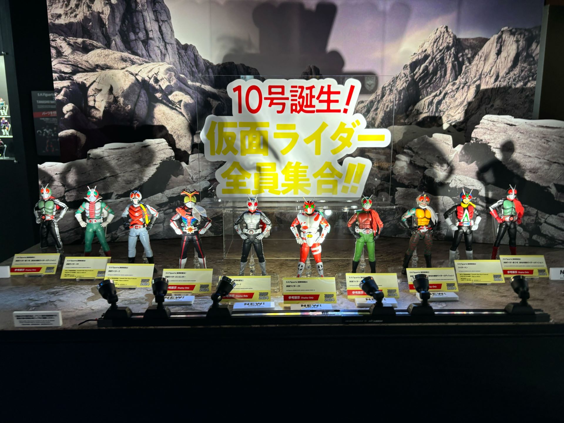 Timeless Dimension タイムレス ディメンション on X: 