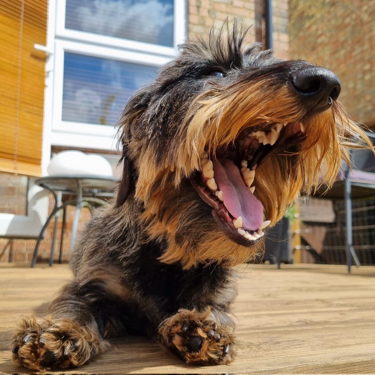 I've now joined blue-sky you can follow me here if you would like :  bsky.app/profile/emmdon…