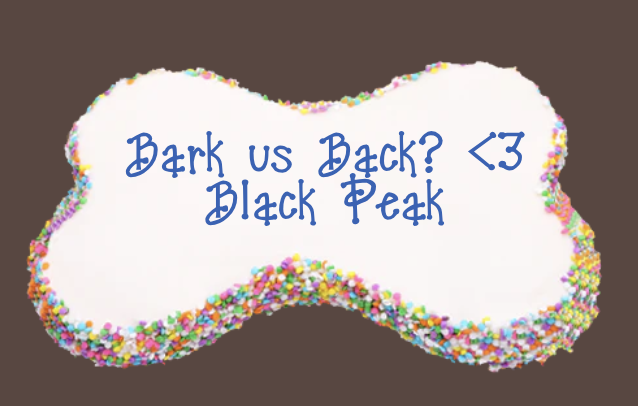 Bailey Fisher tweet media