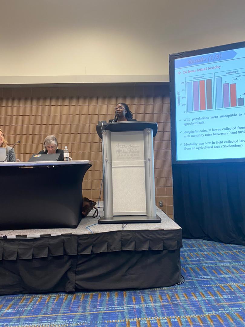 Marie Mae tweet media