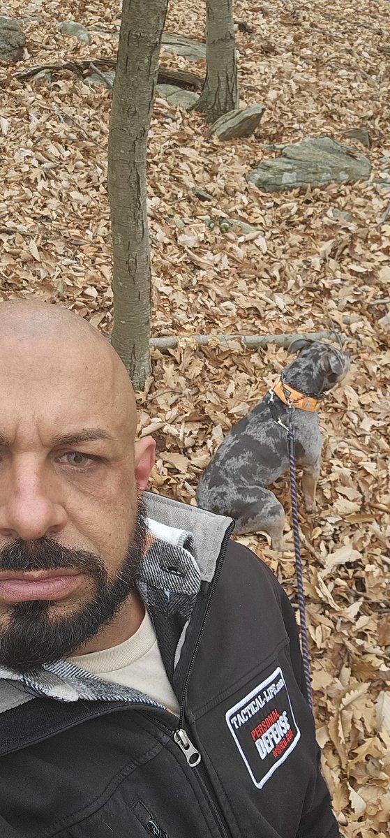 AlphaPxx95264's tweet photo. Work up this morning went to the woods with the dog to look for subs https://t.co/QUDr8bwtXv