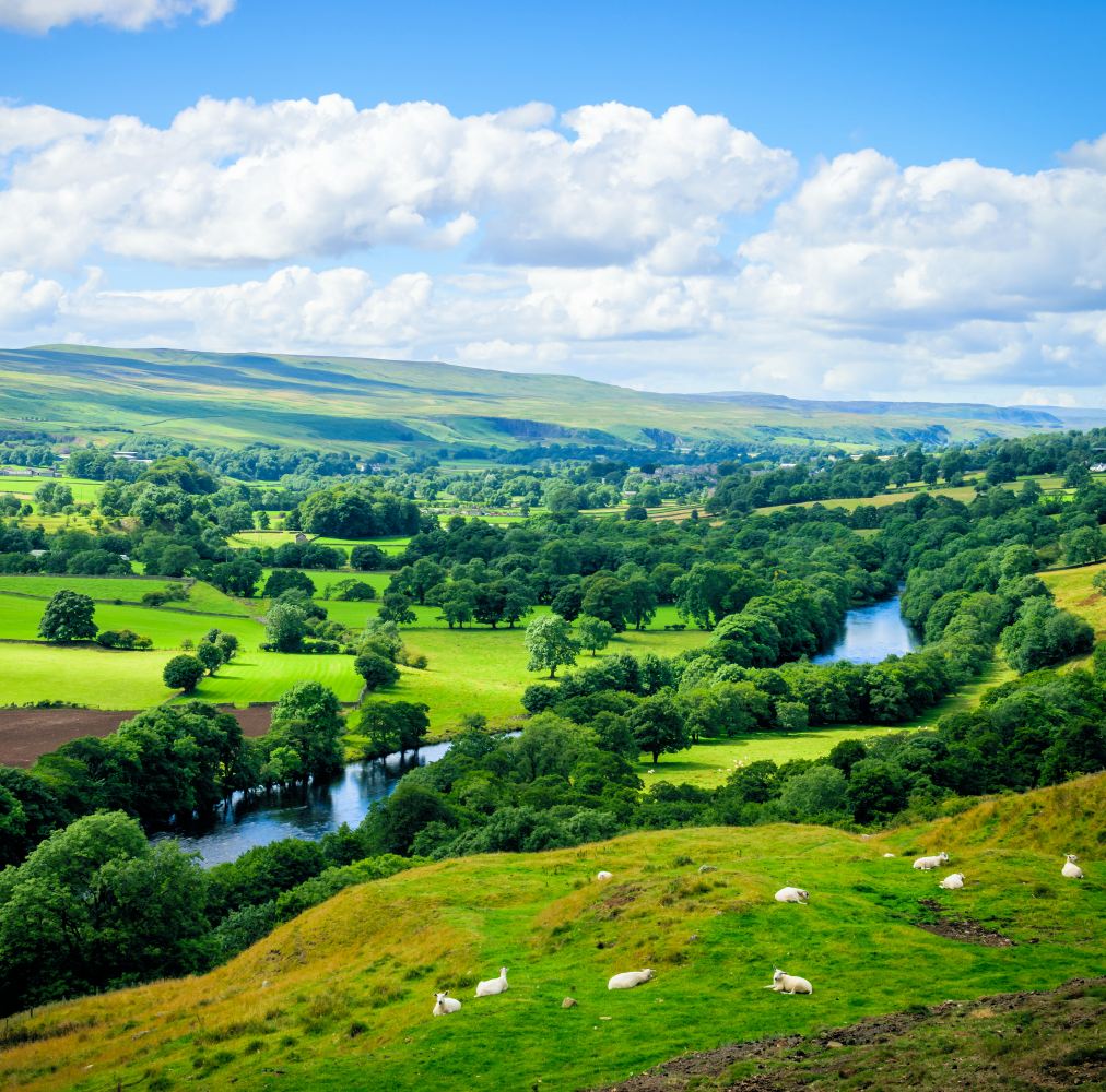 Mark Jackson tweet media