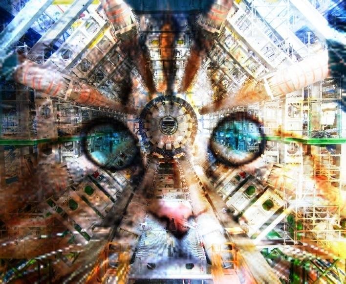 CERNcat's tweet image. #cerncat #cern #cat #cats 
#catsofx #catstagram #catsofinstagram #kittens #kittensofinstagram #nature #naturephotography #animals #viral #catsasoptoption #dogsadoption #animalshelter #petadoption #art #wildlife #theoreticalphysics #quantum #quantumphysics #catsoftheworld