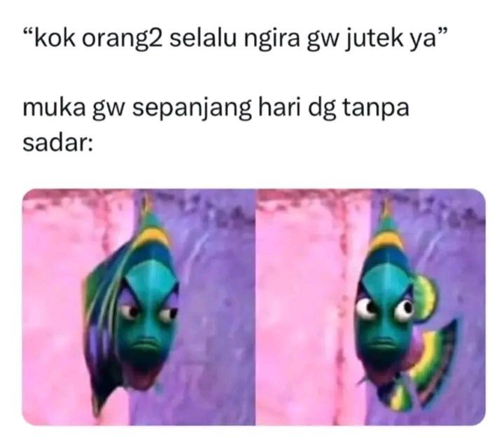 coba kenalan dulu makanya, aslinya lemah lembut kok🤗