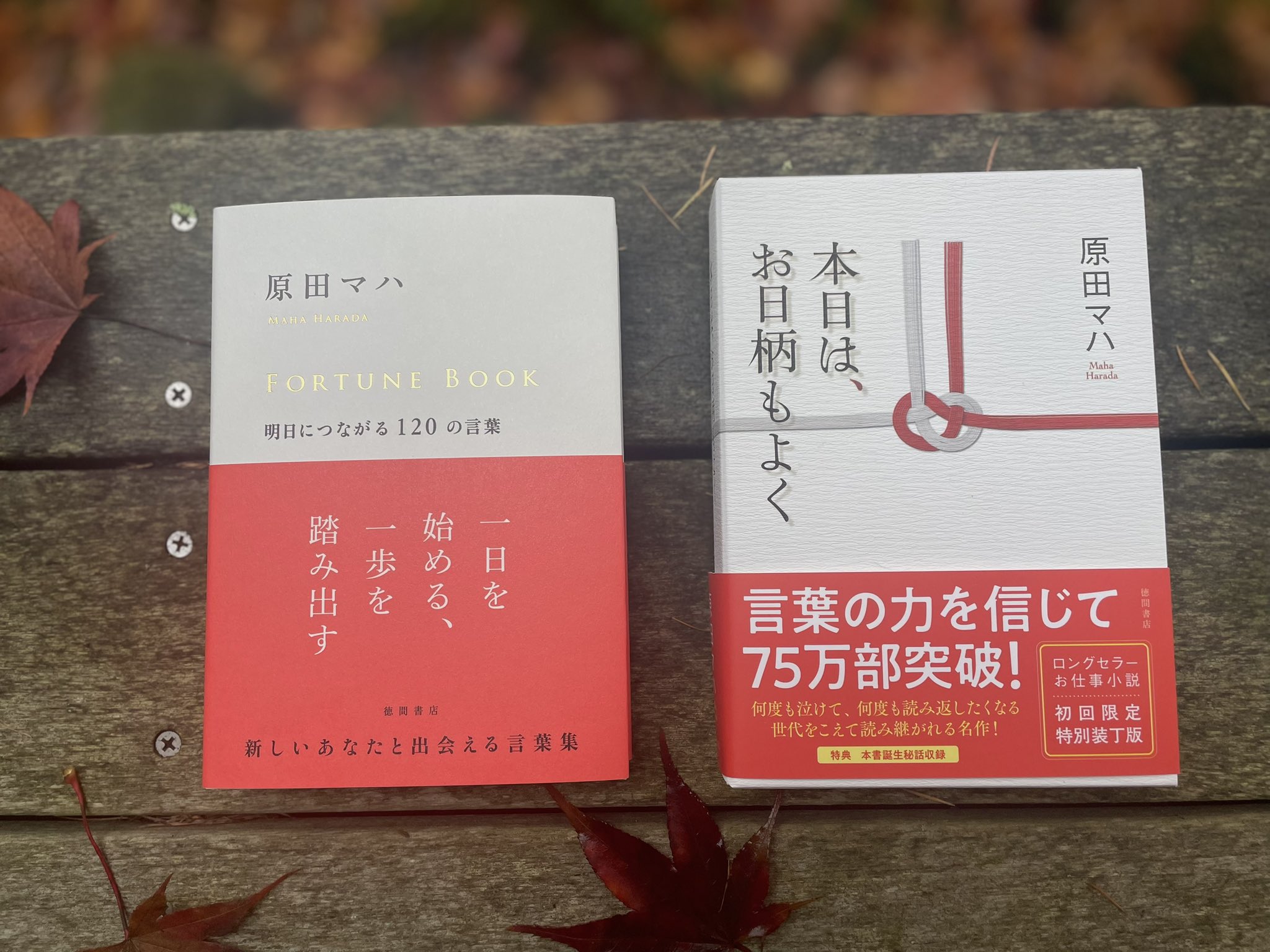 原田マハ (@haradamaha) / X