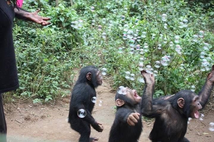 ꧁꧂ (@eat5g) on Twitter photo 