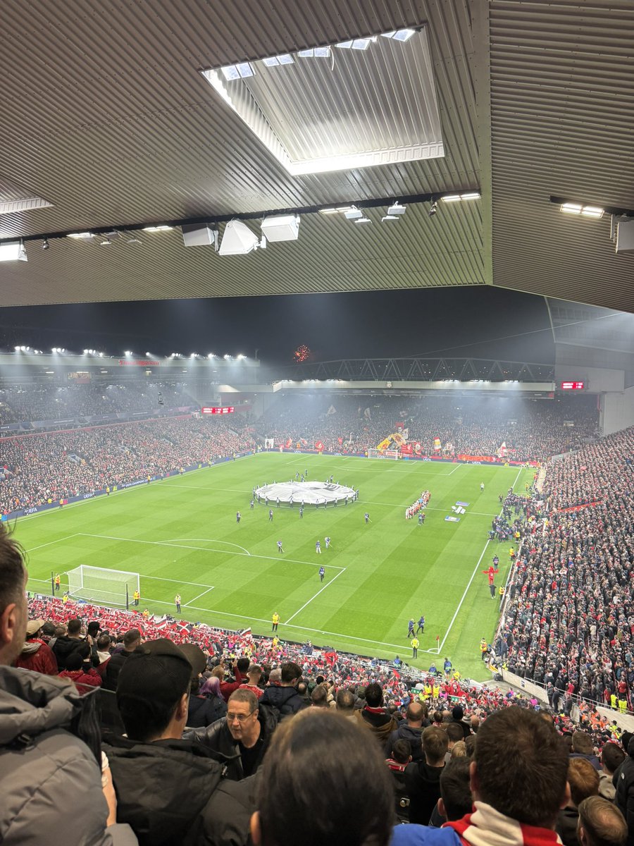 🐢 (@danielroberts2_) on Twitter photo 